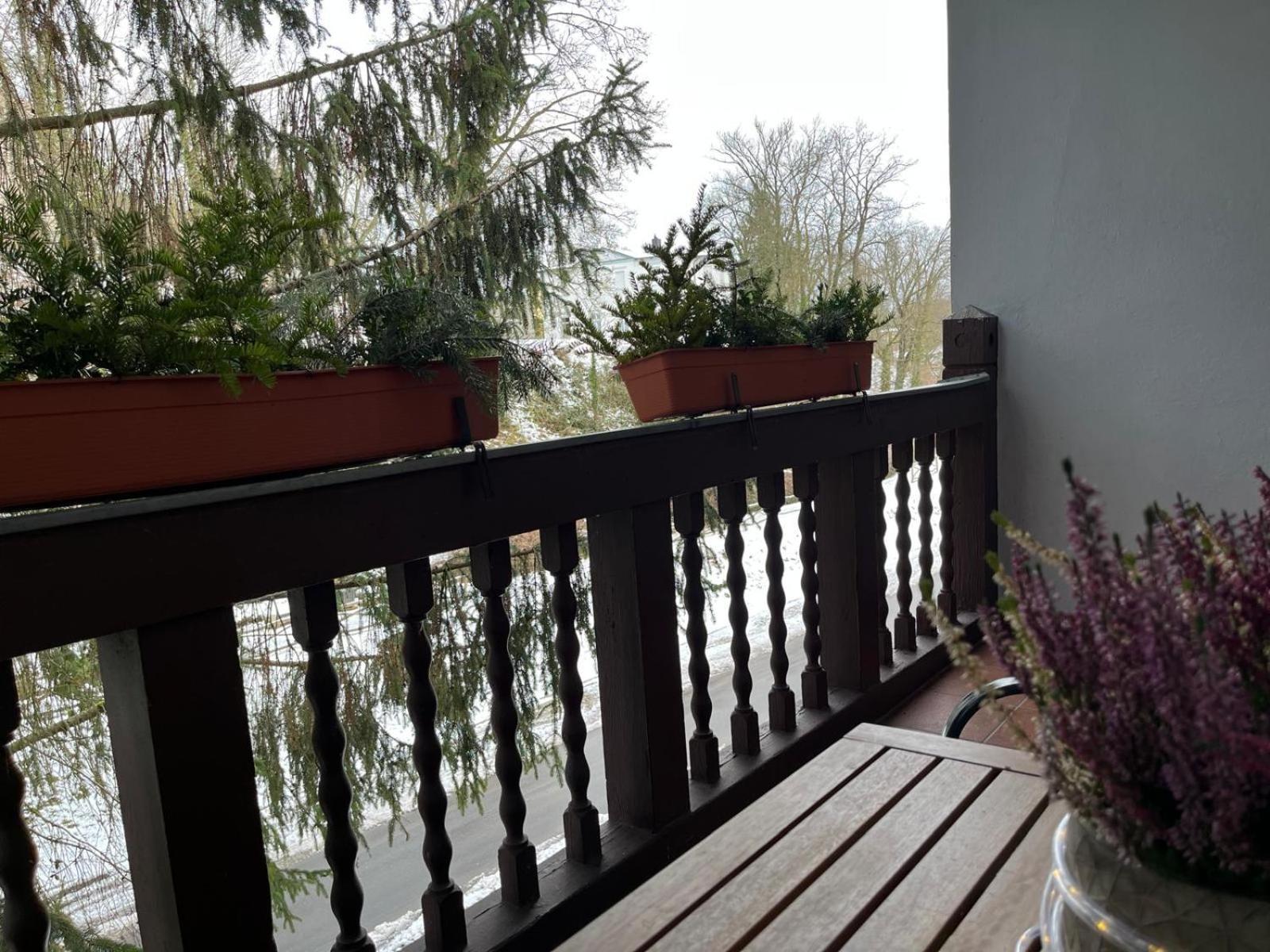 Villa Regina Bad Freienwalde Exterior photo